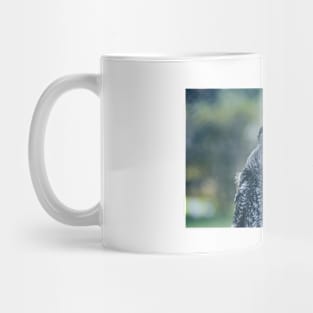 Great Gray Owl Mug